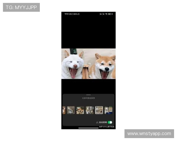 凯旋门体育官网全面解析热门游戏攻略与技巧,提升你的游戏水平和战斗力 凯旋门体育官网全面解析热门游戏攻略与技巧,提升你的游戏水平和战斗力